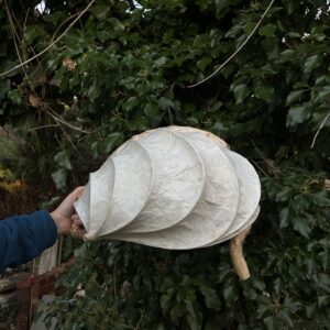 Lampa 01 - kinkiet